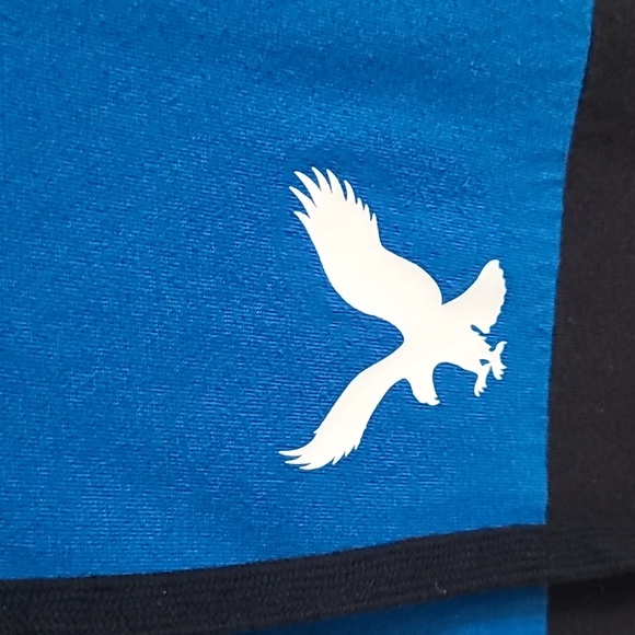 American Eagle Blue Hoodie - Picture 3 of 7
